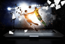 Sportsbook Software Provider