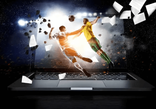 Sportsbook Software Provider