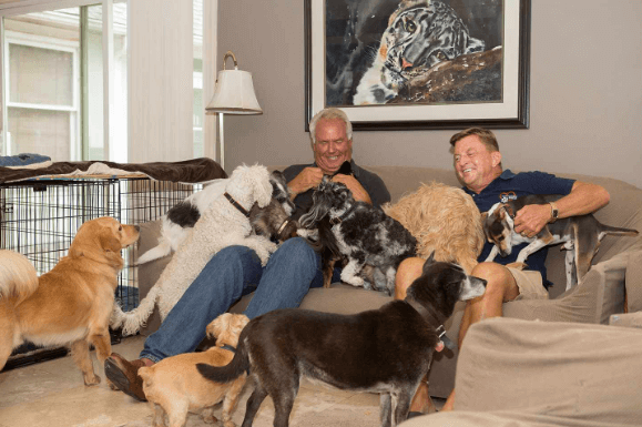 Danny and Ron's Rescue Net Worth: Animal Rescue's Financial Success