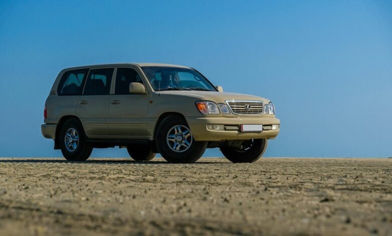 reliable web stability solutions